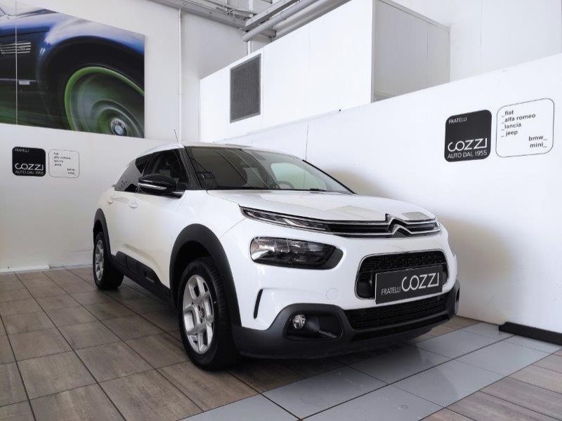 CITROEN C4 Cactus BlueHDi 100 S&S Shine - Cozzi