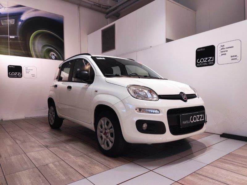 FIAT Panda 3ª serie Panda 0.9 TwinAir Turbo Natural Power Easy - Cozzi