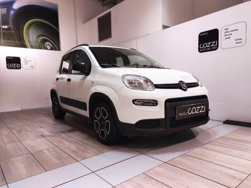 FIAT Panda 3ª serie Panda 1.0 FireFly S&S Hybrid City Life - Cozzi