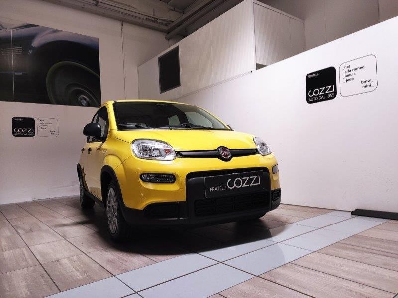 FIAT Panda 3ª serie Panda 1.0 FireFly S&S Hybrid - Cozzi