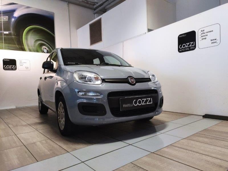 FIAT Panda 3ª serie Panda 1.2 Easy - Cozzi