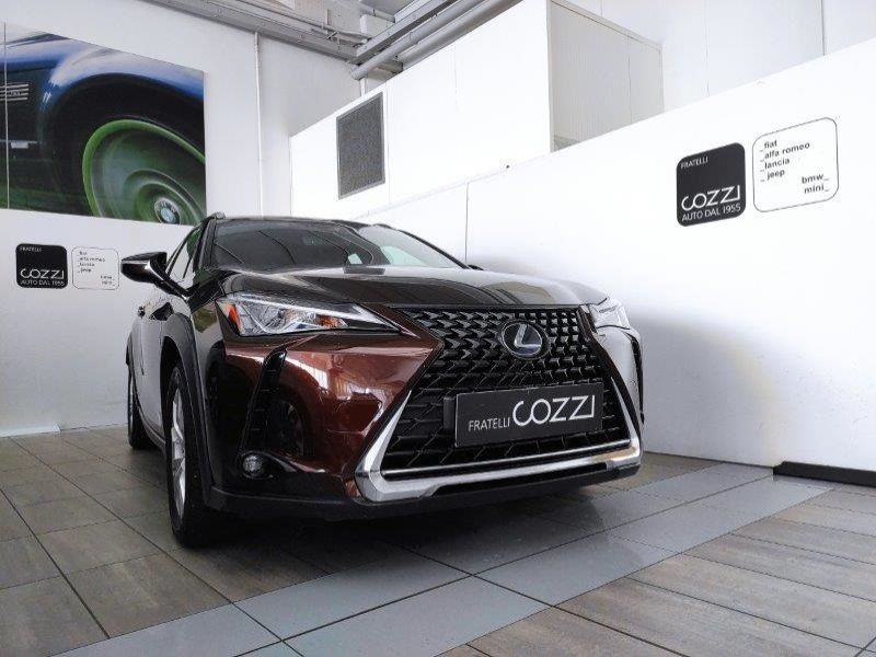 LEXUS UX UX Hybrid Business - Cozzi